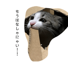[LINEスタンプ] 寧々と茶々2