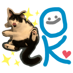 [LINEスタンプ] ハマーちゃん