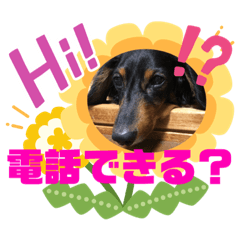 [LINEスタンプ] むぅーのスタンプ