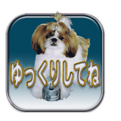 [LINEスタンプ] シーズ犬が会話する