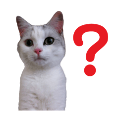 [LINEスタンプ] まろくそ