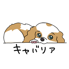 [LINEスタンプ] キャバリアの気ままな日常 
