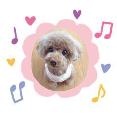 [LINEスタンプ] ベリーちゃんの毎日:)