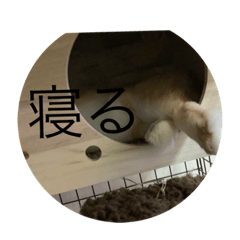 [LINEスタンプ] COCO第二弾
