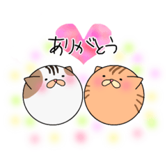 [LINEスタンプ] 玉猫すたんぷ 