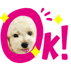 [LINEスタンプ] 犬 コロくん