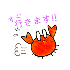 [LINEスタンプ] とらんちゅう in the sea♪ 
