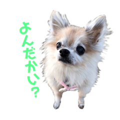 [LINEスタンプ] フラン様の激かわスタンプ2