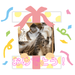 [LINEスタンプ] ゲネ＆チョコ＆ココア