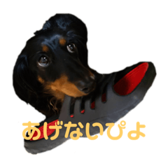 [LINEスタンプ] ベティの1日