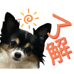 [LINEスタンプ] オレがふうたサマやー！Vol.3