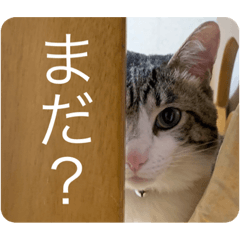 [LINEスタンプ] もずくstamp！