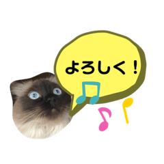 [LINEスタンプ] くうたん。