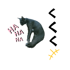 [LINEスタンプ] にゃんわん 日常