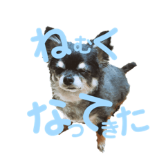 [LINEスタンプ] ダイア君