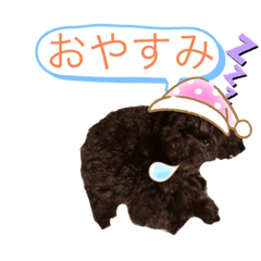 [LINEスタンプ] トイプーの日常。