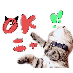 [LINEスタンプ] 猫めかこん2