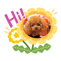 [LINEスタンプ] Yunaちゃんのきもち