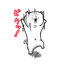 [LINEスタンプ] いつも使う一言を言うネコ 2