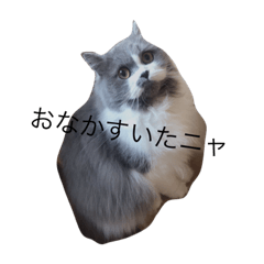 [LINEスタンプ] のんびりりたん