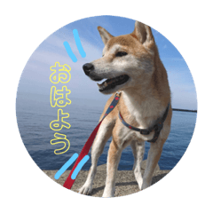 [LINEスタンプ] ソラ君のスタンプ！