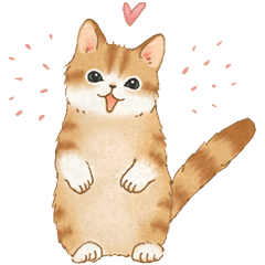 [LINEスタンプ] ともだち☆猫たちのスタンプの画像（メイン）