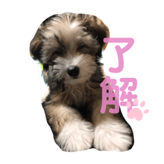 [LINEスタンプ] 遊くんのスタンプ