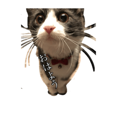 [LINEスタンプ] うーし