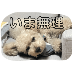 [LINEスタンプ] おやこのせいかつスタンプ