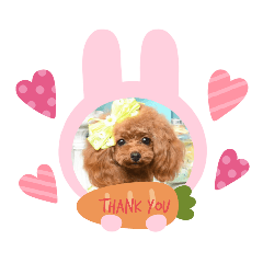 [LINEスタンプ] Rinちゃんの きもち