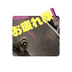 [LINEスタンプ] J太郎スタンプその5くらい