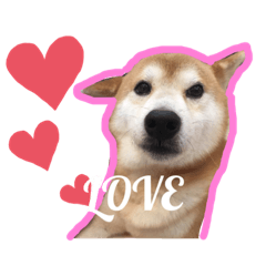 [LINEスタンプ] ぐりちゃんかわいいスタンプ