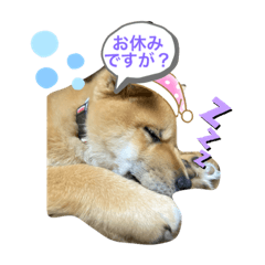 [LINEスタンプ] 福来来たる