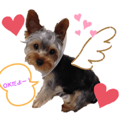 [LINEスタンプ] なかよしかぞく〜子供時々犬〜