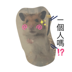 [LINEスタンプ] ネズミ来ました