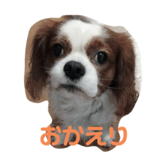 [LINEスタンプ] minma_20200220231836