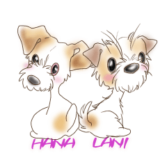 [LINEスタンプ] Hana and Lani