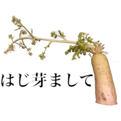 [LINEスタンプ] 腐った大根