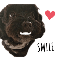 [LINEスタンプ] もずく♂