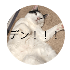 [LINEスタンプ] fuu_20200319200606