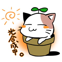 [LINEスタンプ] 植木ねこ 