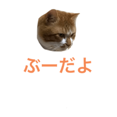 [LINEスタンプ] ぶーです