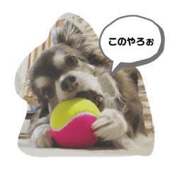 [LINEスタンプ] ワン！！