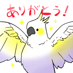 [LINEスタンプ] ことりのおうちスタンプvo1