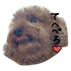 [LINEスタンプ] 今日のこたロン