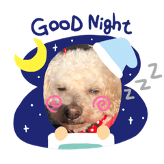 [LINEスタンプ] coco momo chanel
