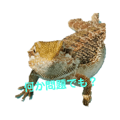 [LINEスタンプ] フトアゴトカゲ NO.1