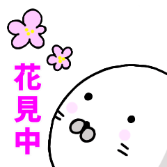 [LINEスタンプ] 春のあざらし