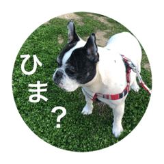 [LINEスタンプ] フレブル☆ラックちゃんスタンプ2