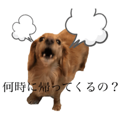 [LINEスタンプ] ミニチュアダックスフンド2